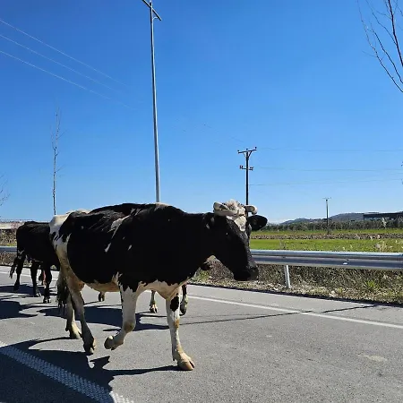 Splendid Sea View, Great Location! דירה