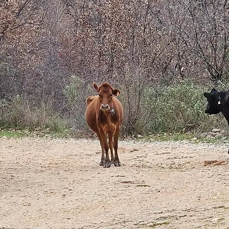 Splendid Sea View, Great Location! Vlorë