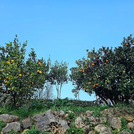 Splendid Sea View, Great Location! Apartamento *